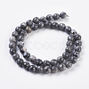 Natural Map Stone/Picasso Stone/Picasso Jasper Strands G-G099-8mm-27-3