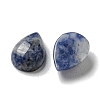 Natural Blue Spot Jasper Cabochons G-Q173-02B-14-2