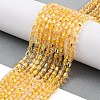 Electroplate Glass Beads Strands EGLA-D031-01Q-1