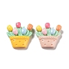 Opaque Resin Cabochons RESI-G084-08-2