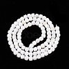 Natural White Shell Beads Strands SSHEL-N038-60-2