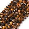 Faceted Natural Tiger Eye Beads Strands G-K066-01-10mm-2