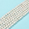 Natural Cultured Freshwater Pearl Beads Strands PEAR-E016-150-2