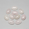 Natural Rose Quartz Cabochons G-R415-8x10-48-1