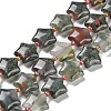 Natural African Bloodstone Beads Strands G-NH0005-003-1