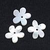 Natural White Shell Beads X-SSHEL-I008-03-1