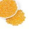 Transparent Glass Seed Beads SEED-N007-33B-06-1