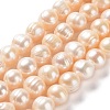 Natural Cultured Freshwater Pearl Beads Strands PEAR-E019-13-1