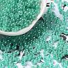 Glass Seed Beads SEED-H002-E-A1417-1