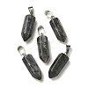 Natural Labradorite Pendants G-Z067-07P-24-2