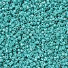 MIYUKI Delica Beads SEED-MY11-DB0166-2