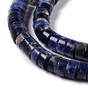 Natural Sodalite Beads Strands G-C240-04A-4