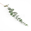 Plastic Eucalyptus Wall Decorations Leaf DIY-WH0246-78-2