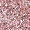 Glass Seed Beads SEED-S042-04A-04-3