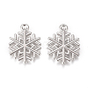 Alloy Pendants X-PALLOY-L228-014P-1