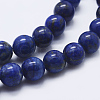 Natural Lapis Lazuli Beads Strands G-P348-01-12mm-3