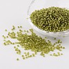 12/0 Glass Seed Beads X-SEED-A005-2mm-24-1