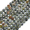 Natural Eagle Eye Stone Beads Strands G-K389-B36-01-1