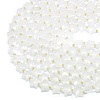 Natural Quartz Crystal Beads Strands G-P573-C03-01-4