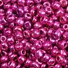 6/0 Glass Seed Beads E06900F4-1