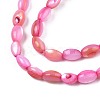 Freshwater Shell Beads Strands SHEL-T009-B15-03-3