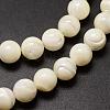 Natural Sea Shell Beads Strands SSHEL-K013-8mm-A-3