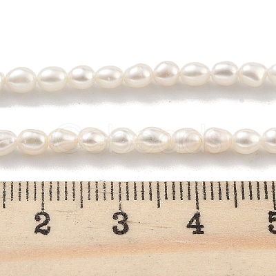 Natural Cultured Freshwater Pearl Beads Strands PEAR-P062-03C-1