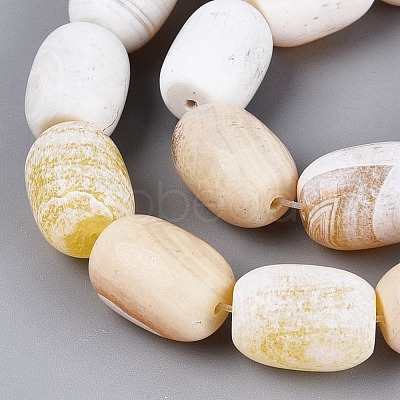 Natural Agate Beads Strands G-Q606-97B-03-1