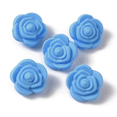 Food Grade Eco-Friendly Silicone Beads LS-FIND-WH0125-43B-1