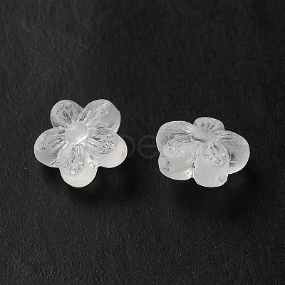 Transparent Acrylic Beads OACR-L013-006-1