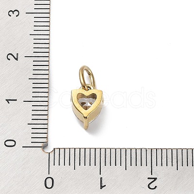 316 Stainless Steel Micro Pave Cubic Zirconia Charms ZIRC-P108-01G-D-1