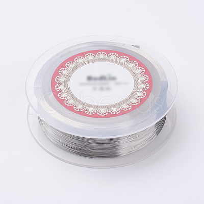 Steel Wire TWIR-E001-0.2mm-1