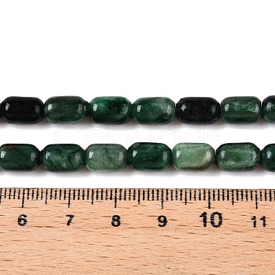 Natural Fuchsite Beads Strands G-G980-34B-1