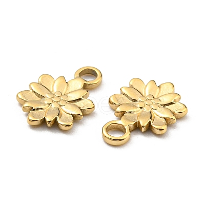 304 Stainless Steel Charm STAS-R124-03G-1