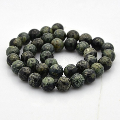 Natural Kambaba Jasper Beads Strands G-N0120-09-8mm-1