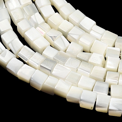 Natural Trochid Shell/Trochus Shell Beads Strands SHEL-C010-05B-1