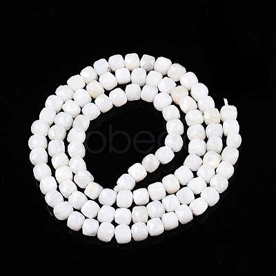 Natural White Shell Beads Strands SSHEL-N038-60-1