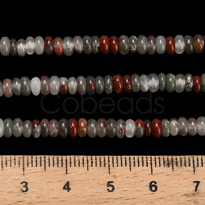 Natural African Bloodstone Beads Strands G-L635-A28-4x2mm-1