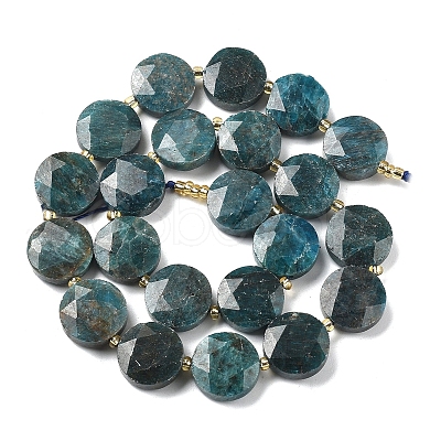 Natural Apatite Beads Strands G-C116-A159-03-1