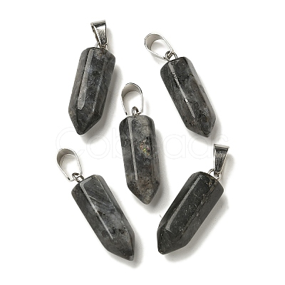 Natural Labradorite Pendants G-Z067-07P-24-1