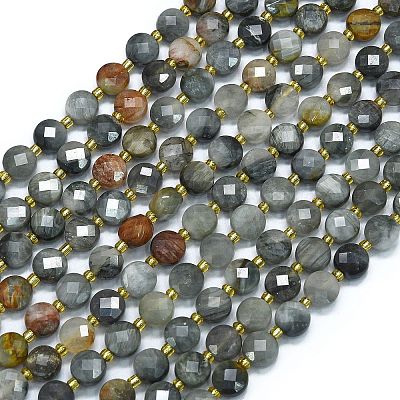 Natural Eagle Eye Stone Beads Strands G-K389-B36-01-1