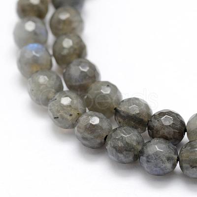 Natural Labradorite Beads Strands G-P322-30-6mm-1