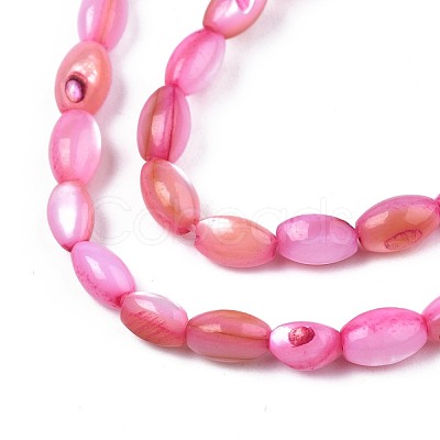 Freshwater Shell Beads Strands SHEL-T009-B15-03-1