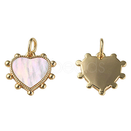 Natural Shell Charms KK-N233-210-1