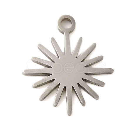Non-Tarnish 304 Stainless Steel Charms STAS-S123-01P-04-1