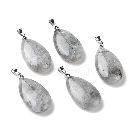 Natural Labradorite Pendants G-D084-01P-B22-1