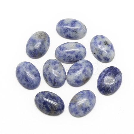 Natural Blue Spot Jasper Cabochons G-R415-13x18-45-1
