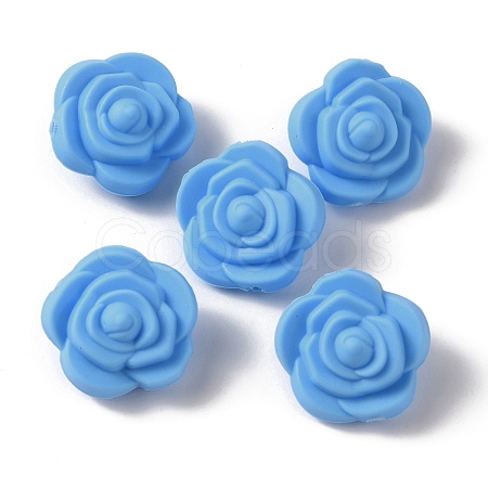 Food Grade Eco-Friendly Silicone Beads LS-FIND-WH0125-43B-1