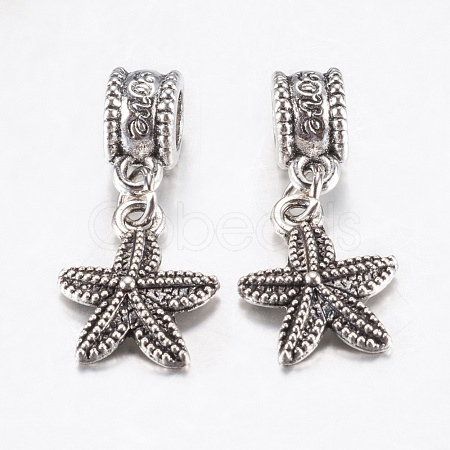 Tibetan Style Alloy European Dangle Charms PALLOY-F199-41AS-1
