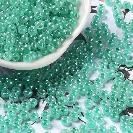 Glass Seed Beads SEED-H002-E-A1417-1